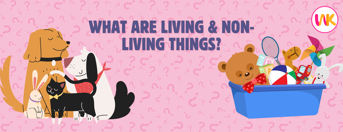 What are living and Non-living things