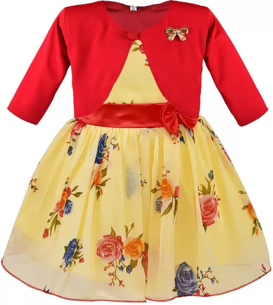 Baby Girls Midi/Knee Length Party Dress