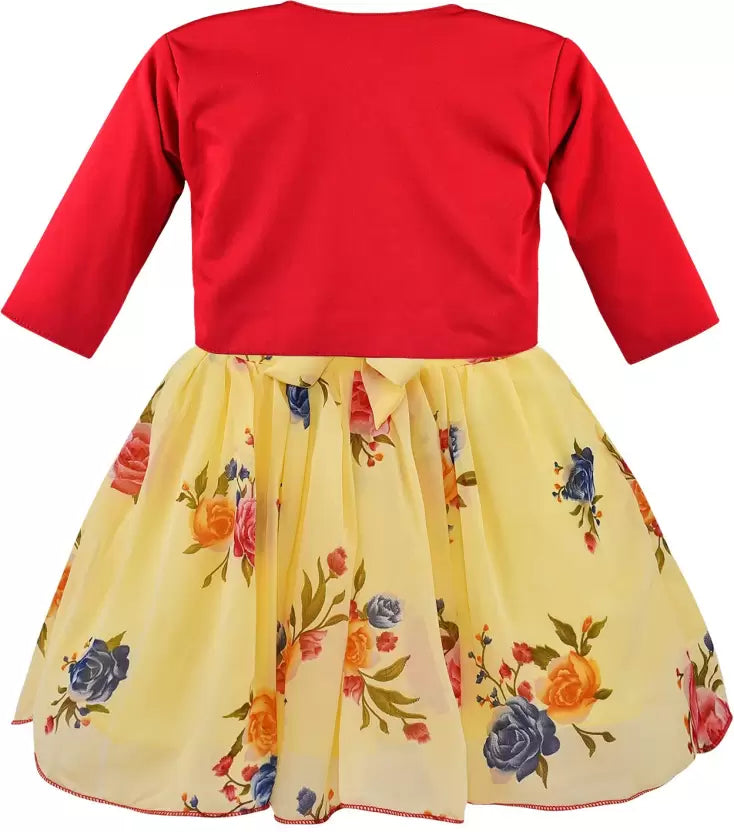 Baby Girls Midi/Knee Length Party Dress