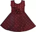 Baby Girls Embroidered Party Dress