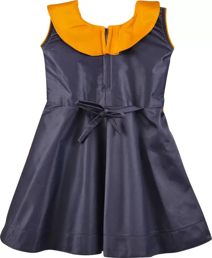 Baby Girls Midi/Knee Length Party Dress