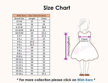 Wish karo Baby Girls Partywear Frocks Dress