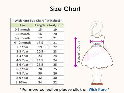 Wish Karo Baby Girls Frock Dress-(csl244nbnw_Navy Blue_1-2yrs)