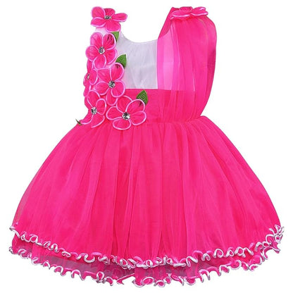 Girls Knee Length A-Line Frock Dress