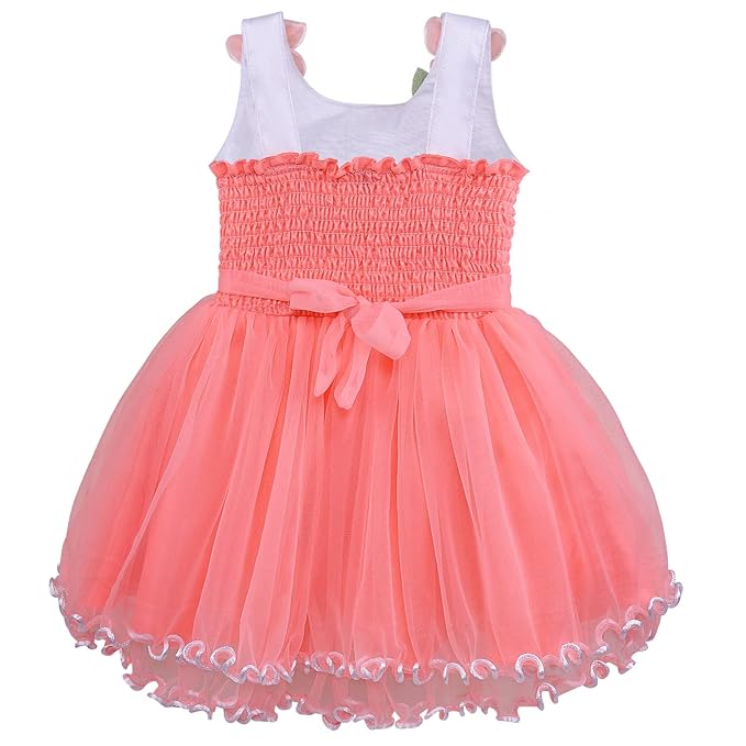 Flower Embellished Net Party Dress