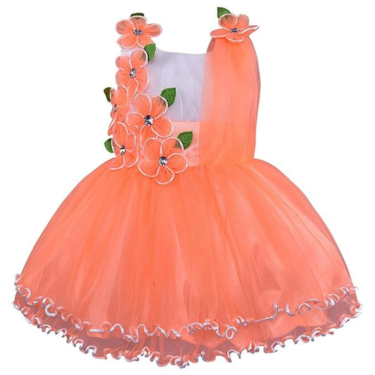 Girls Knee Length A-Line Frock Dress