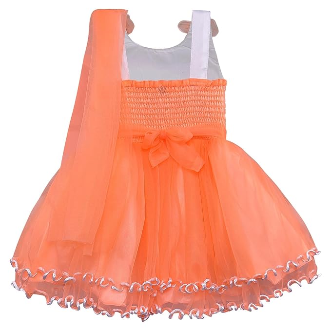 Girls Knee Length A-Line Frock Dress