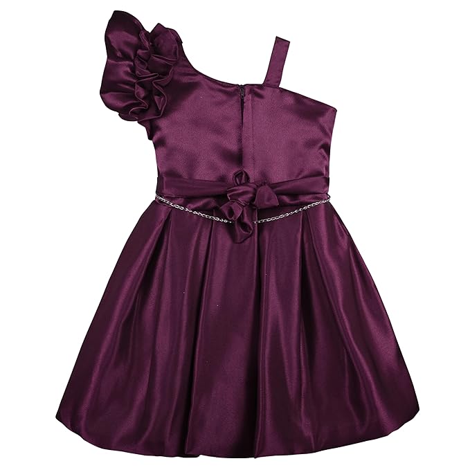 Wish Karo Baby Girls Party Wear Frocks Dress Bxa436wn