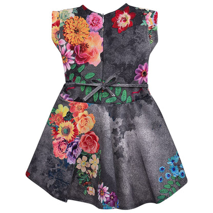 Baby Girls Frock Dress