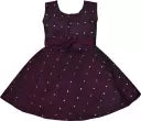 Baby Girls Embroidered Party Dress