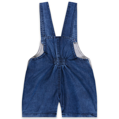 Baby Boys Applique T-Shirt and Shorts Dungaree Set