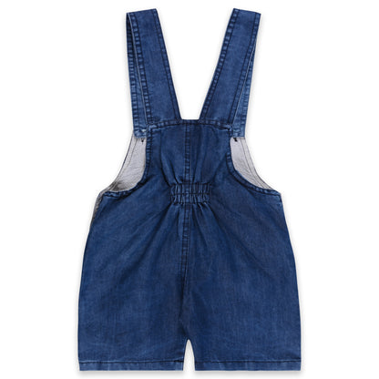 Baby Boys Applique T-Shirt and Shorts Dungaree Set