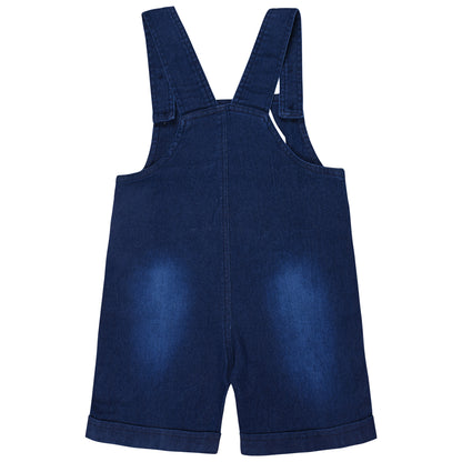 Baby Boys Applique T-Shirt and Shorts Dungaree Set