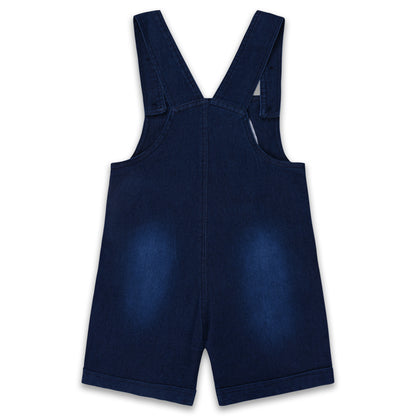 Baby Boys Applique T-Shirt and Shorts Dungaree Set