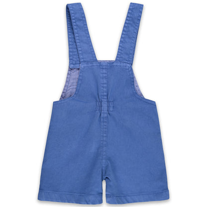 Baby Boys Printed T-Shirt and Shorts Dungaree Set