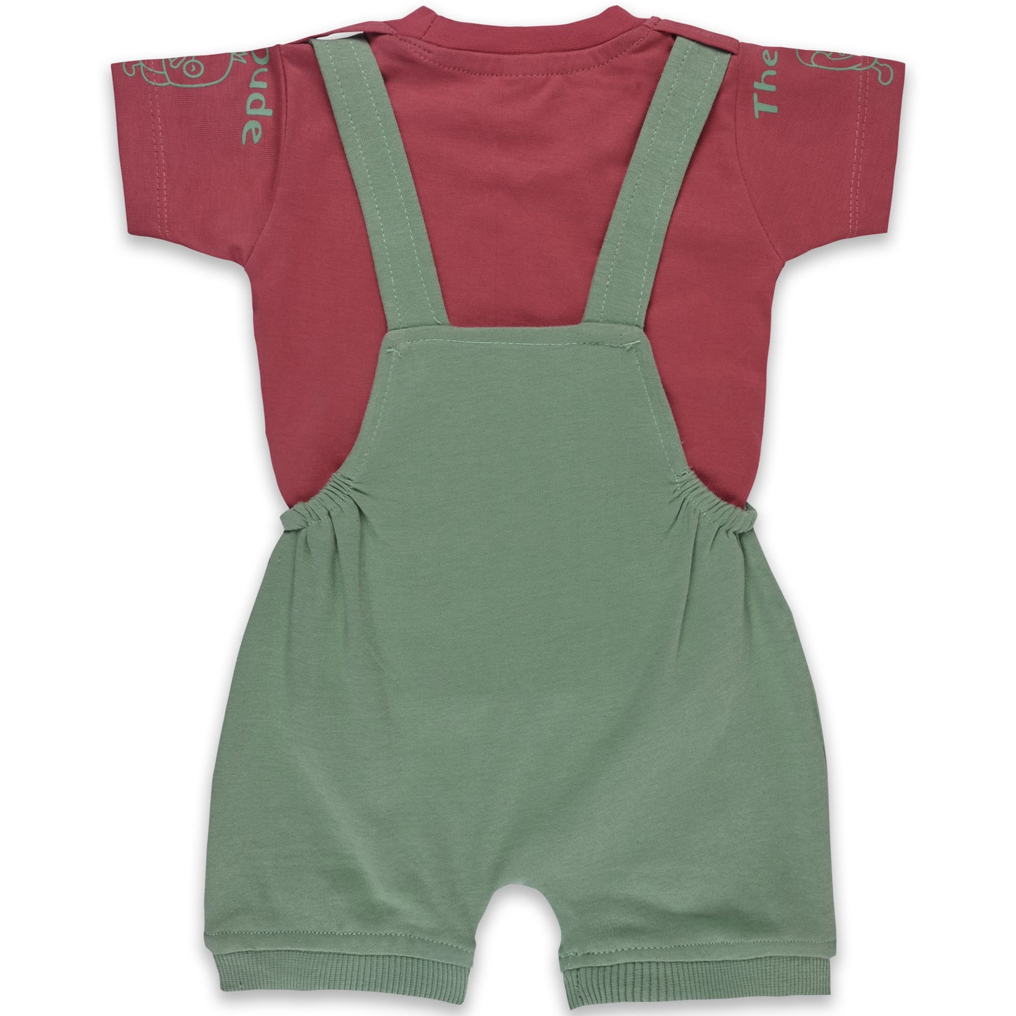 Baby Boys Applique T-Shirt and Shorts Dungaree Set