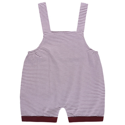 Baby Boys Striped T-Shirt and Shorts Dungaree Set