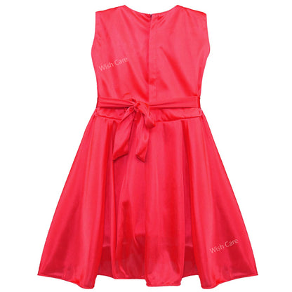 Baby Girls Embellished Party Wear Dress