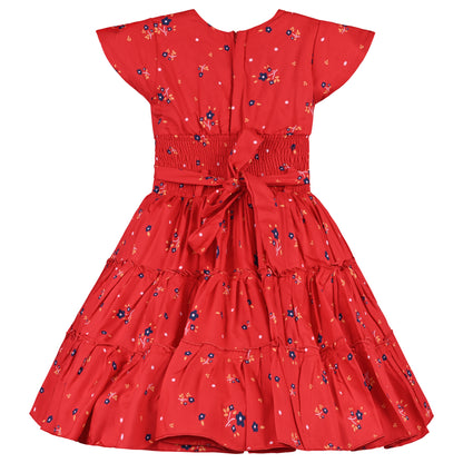 Girls Cap Sleeve Rayon Fabric A-Line Frock Dress