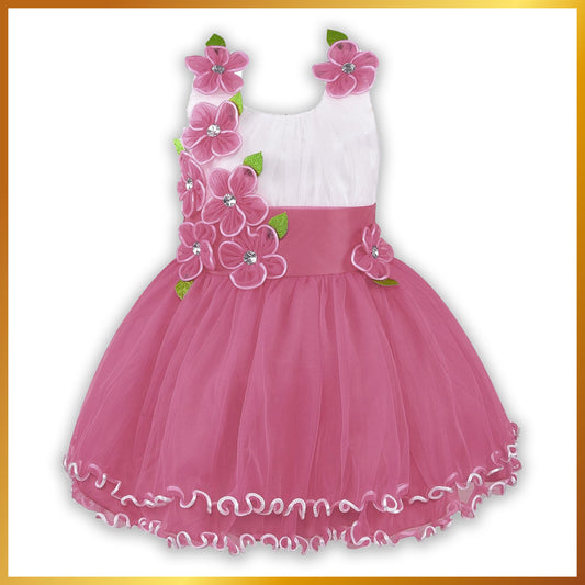 Girls Knee Length A-Line Frock Dress