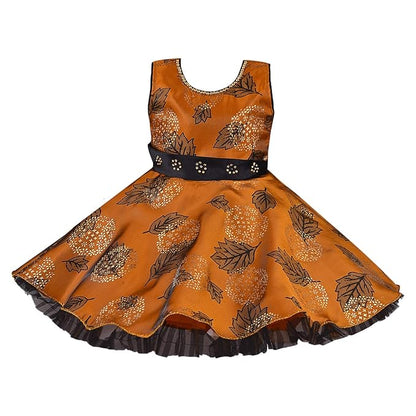 Girls Full Sleeve Floral Print Fit and Flare Frock Dress