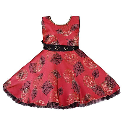 Girls Full Sleeve Floral Print Fit and Flare Frock Dress