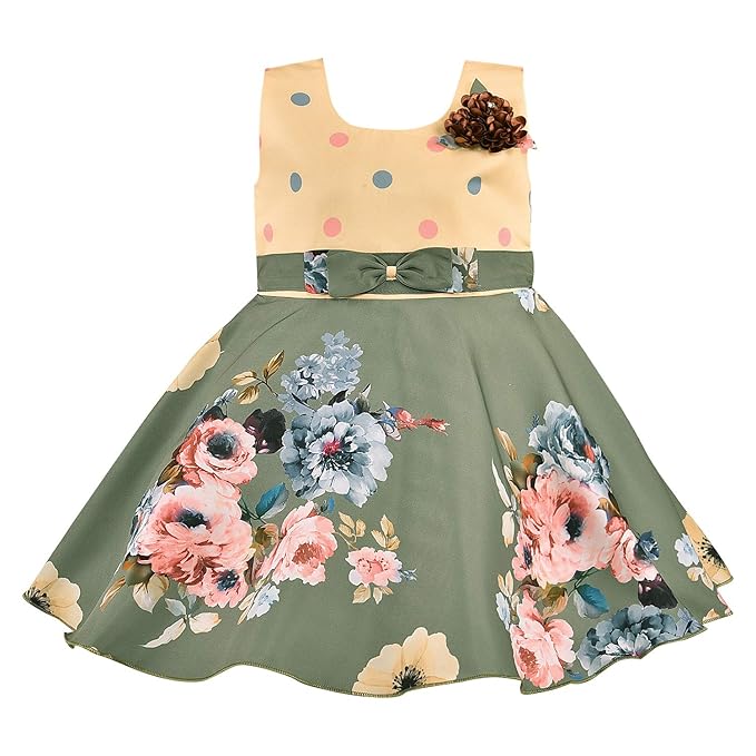 Girls Full Sleeve Floral Print A-Line Frock Dress